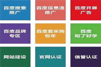 百度推广公司的成功案例：如何实现广告投资回报最大化